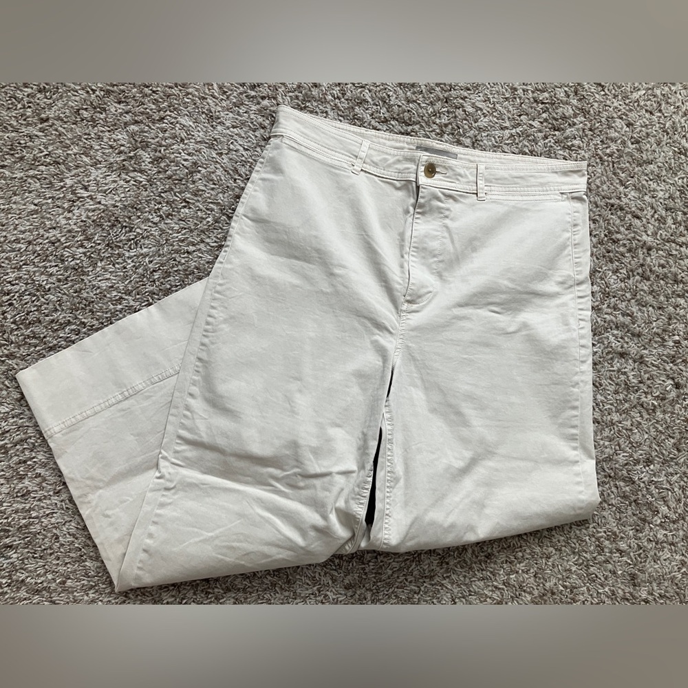 Everlane Wide Leg Trouser Pant